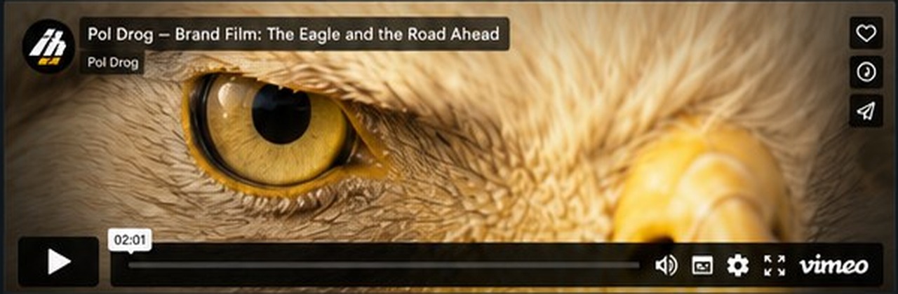 Eagle eye from the POL-DRÓG corporate brand film